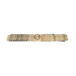 Vintage PAMART MFG Metal Scales Stretch Goldtone Belt 28"L x 2"W